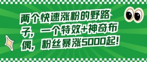 两个快速涨粉的野路子，一个特效+神奇布偶，粉丝暴涨5000起【揭秘】-风淘社