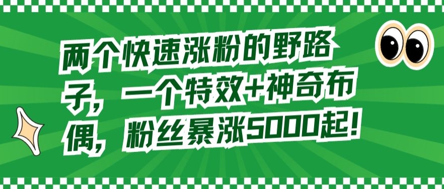 两个快速涨粉的野路子，一个特效+神奇布偶，粉丝暴涨5000起【揭秘】-风淘社