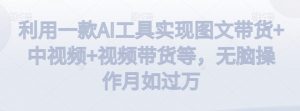 利用一款AI工具实现图文带货+中视频+视频带货等,无脑操作月如过万【揭秘】-风淘社