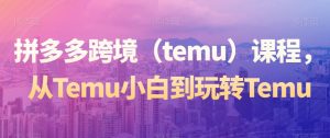 拼多多跨境（temu）课程，从Temu小白到玩转Temu-风淘社