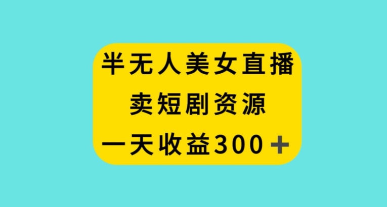 半无人美女直播，卖短剧资源，一天收益300+【揭秘】-风淘社
