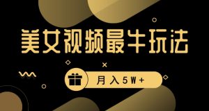 美女短视频最牛玩法,流量高,变现快,轻松月入5W+【揭秘】-风淘社