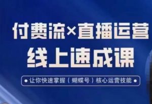 视频号付费流实操课程,付费流✖️直播运营速成课,让你快速掌握视频号核心运营技能-风淘社