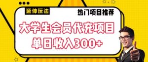 大学生代充会员项目，当日变现300+【揭秘】-风淘社