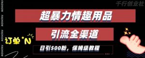 最新情趣项目引流全渠道,自带高流量,保姆级教程,轻松破百单,日引500+粉【揭秘】-风淘社