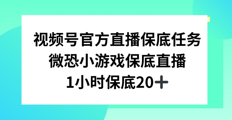 视频号直播任务,微恐小游戏,1小时20+【揭秘】-风淘社