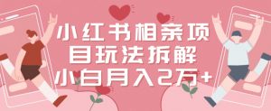 小红书相亲项目玩法拆解,有人通过这个副业项目做到了月收入2万多【揭秘】-风淘社