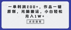 一单利润200+，作品一键原创，无脑搬运，小白轻松月入1W+【揭秘】-风淘社