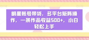 明星账号带货，多平台矩阵操作，一条作品收益500+，小白轻松上手【揭秘】-风淘社