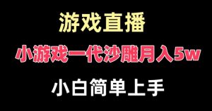 玩小游戏一代沙雕月入5w，爆裂变现，快速拿结果，高级保姆式教学【揭秘】-风淘社