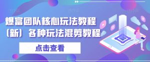 爆富团队核心玩法教程(新)各种玩法混剪教程-风淘社