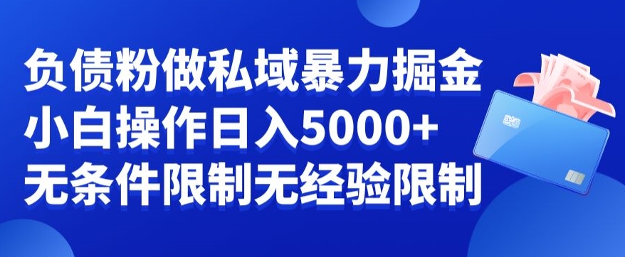 负债粉私域暴力掘金，小白操作入5000，无经验限制，无条件限制【揭秘】-风淘社