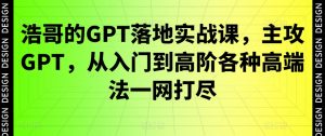 浩哥的GPT落地实战课,主攻GPT,从入门到高阶各种高端法一网打尽-风淘社