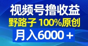 视频号野路子撸收益，100%原创，条条爆款，月入6000＋【揭秘】-风淘社