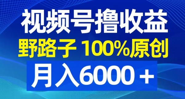 视频号野路子撸收益，100%原创，条条爆款，月入6000＋【揭秘】-风淘社