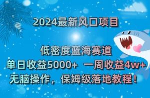 2024最新风口项目，低密度蓝海赛道，单日收益5000+，一周收益4w+！【揭秘】-风淘社
