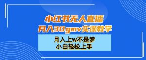 小红书无人直播月入30gmv实操教学,月入上w不是梦,小白轻松上手【揭秘】-风淘社