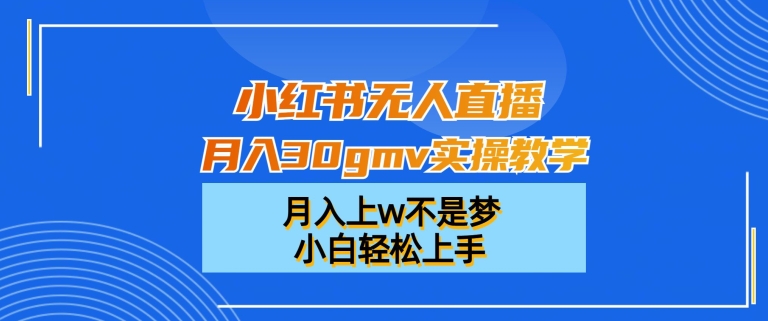小红书无人直播月入30gmv实操教学,月入上w不是梦,小白轻松上手【揭秘】-风淘社