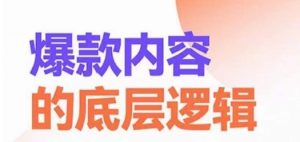 爆款内容的底层逻辑,揽获精准客户,高粘性、高复购、高成交-风淘社