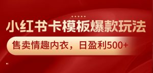 小红书卡模板爆款玩法，售卖情趣内衣，日盈利500+【揭秘】-风淘社