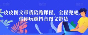 皮皮图文带货陪跑课程,全程兜底,带你玩赚抖音图文带货-风淘社