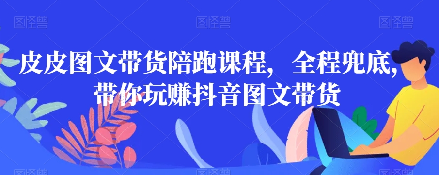 皮皮图文带货陪跑课程,全程兜底,带你玩赚抖音图文带货-风淘社