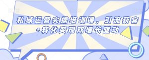 私域运营实操培训课,引流获客+转化变现双增长驱动-风淘社
