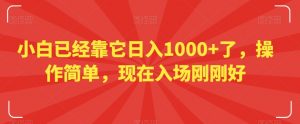 小白已经靠它日入1000+了,操作简单,现在入场刚刚好【揭秘】-风淘社