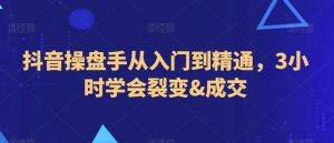 抖音操盘手从入门到精通，3小时学会裂变&成交-风淘社