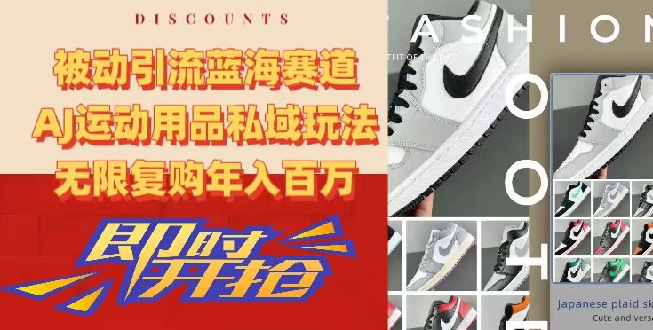 被动引流蓝海赛道,AJ运动用品私域玩法,无限复购年入百万【揭秘】-风淘社