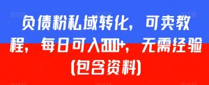 负债粉私域转化,可卖教程,每日可入2000+,无需经验(包含资料)【揭秘】-风淘社