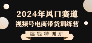 2024年风口赛道视频号电商带货训练营搞钱特训班,带领大家快速入局自媒体电商带货-风淘社