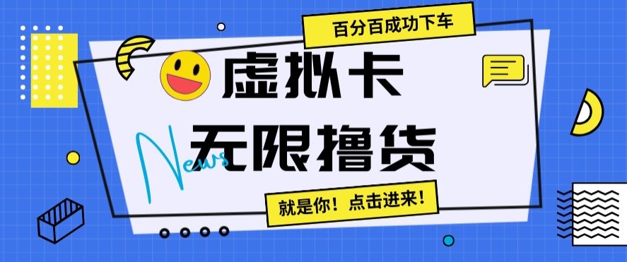 虚拟卡无限撸货，百分百成功下车【仅揭秘】-风淘社