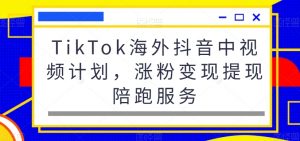 TikTok海外抖音中视频计划,涨粉变现提现陪跑服务-风淘社