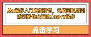 从0起步入门直播带货，​从搭团队到引流到转化全面助力GMV起步-风淘社