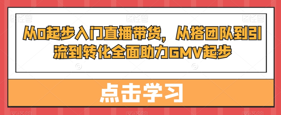 从0起步入门直播带货，​从搭团队到引流到转化全面助力GMV起步-风淘社