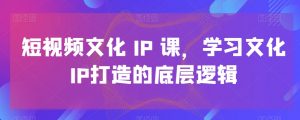 短视频文化IP课,学习文化IP打造的底层逻辑-风淘社