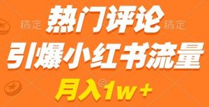 热门评论引爆小红书流量，作品制作简单，商单接到手软【揭秘】-风淘社