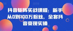 抖音矩阵实战课程:新手从0到100万粉丝,全套抖音变现实操-风淘社