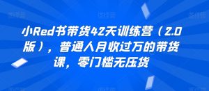 小Red书带货42天训练营(2.0版),普通人月收过万的带货课,零门槛无压货-风淘社