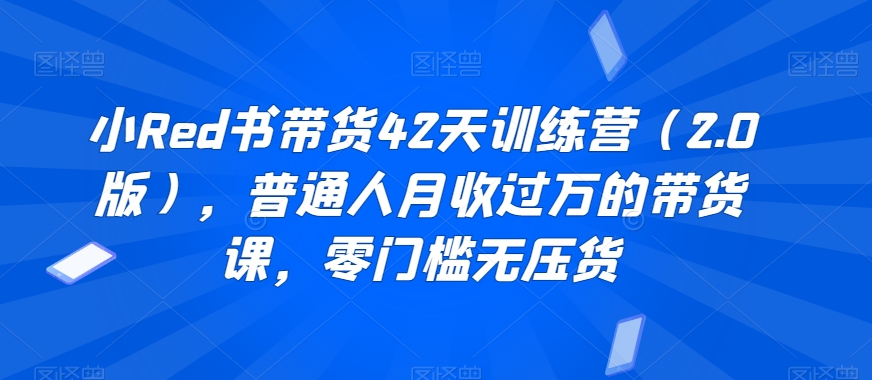 小Red书带货42天训练营(2.0版),普通人月收过万的带货课,零门槛无压货-风淘社