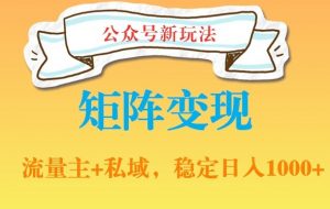 公众号软件玩法私域引流网盘拉新,多种变现,稳定日入1000【揭秘】-风淘社