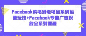 Facebook菜鸟到老鸟全系列运营玩法+Facebook专业广告投放全系列课程-风淘社