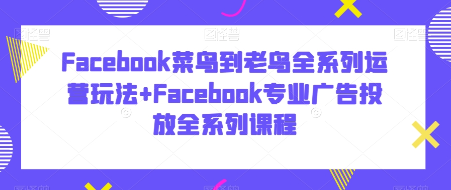 Facebook菜鸟到老鸟全系列运营玩法+Facebook专业广告投放全系列课程-风淘社