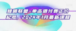 臻曦联盟-单品微付费正价起号，2024年1月最新课程-风淘社