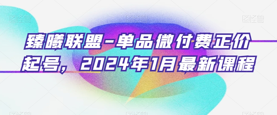 臻曦联盟-单品微付费正价起号,2024年1月最新课程-风淘社