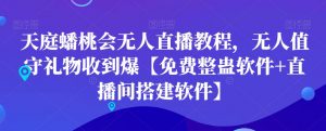 天庭蟠桃会无人直播教程，无人值守礼物收到爆【免费整蛊软件+直播间搭建软件】-风淘社