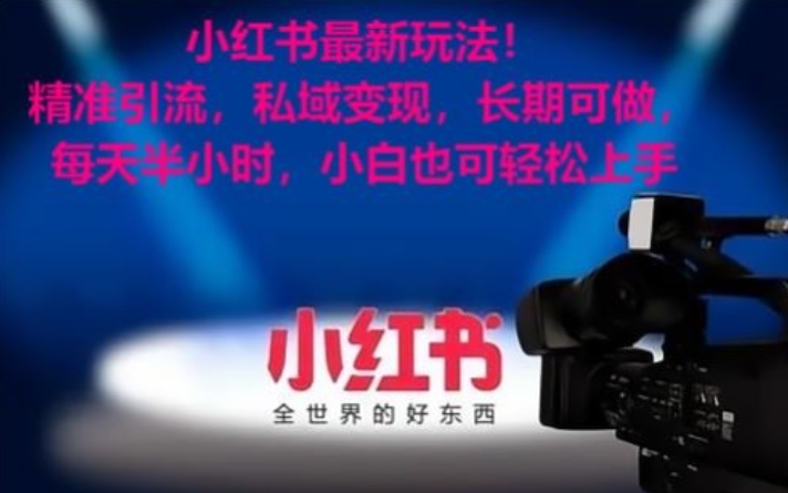 小红书最新玩法!精准引流,私域变现,长期可做,每天半小时,小白也可轻松上手【揭秘】-风淘社