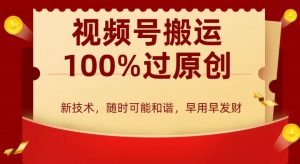 外边收费599创作者分成计划，视频号搬运100%过原创，新技术，适合零基础小白，月入两万+【揭秘】-风淘社
