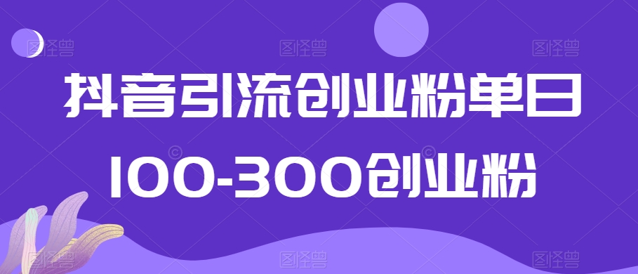 抖音引流创业粉单日100-300创业粉【揭秘】-风淘社